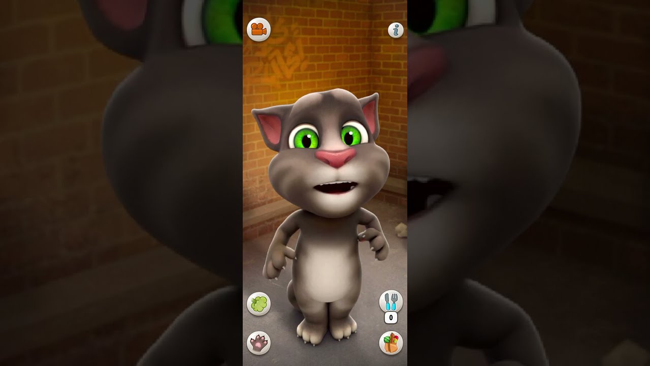 Talking Tom Cat Part 13802 Shorts