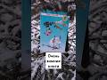Эти зимние книги согревают читателя #booktok