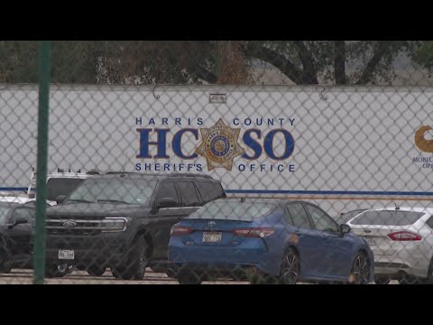 Dozens charged in Harris County bail bonds fraud schemes, DOJ announces ...