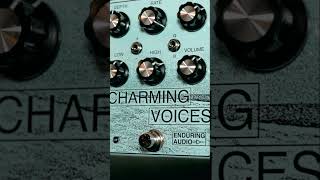 Enduring Audio - Charming Voices Analog Chorus