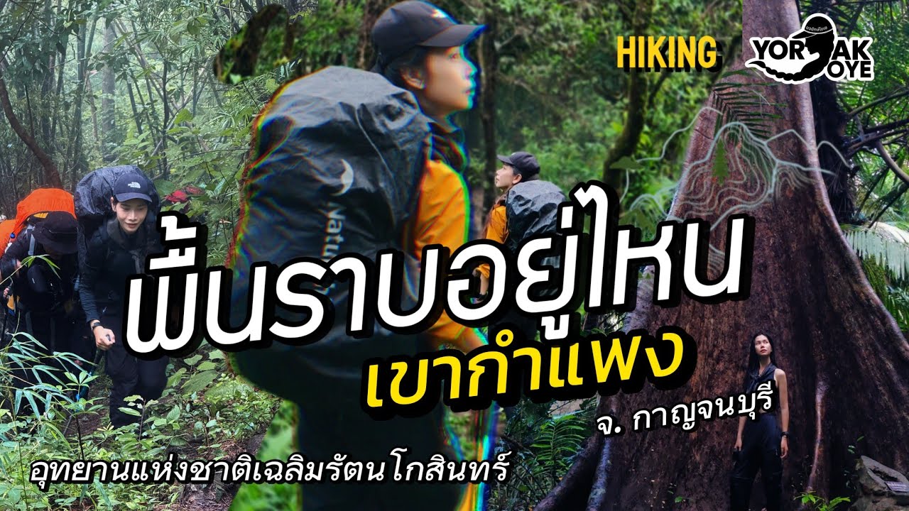 เขากำแพง: ดินแดนที่คำว่า 'ทางราบ' ไม่มีอยู่จริง! (ปวดขาของแท้) 🦵💥