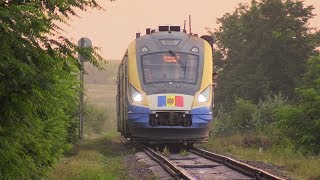 Дизель-поезд Д1М-004 на о.п. Сэрата Веке / D1M-004 DMU at Sarata Veche stop