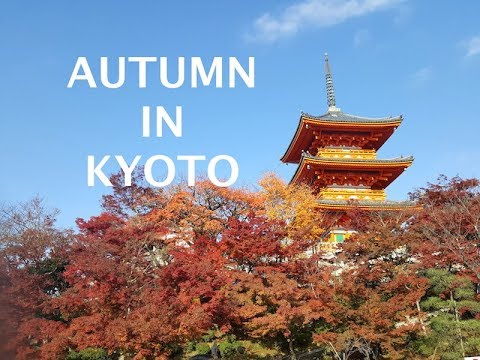 autumn-in-kyoto-|-places-to-visit-in-kyoto