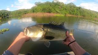 Lake El Salto Bass Fishing Deep in the mountains of Sinaloa Mexico.