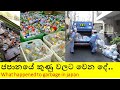 What happened to garbage in japan...? ජපානයේ කුණුවලට වෙන දේ....?