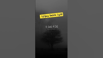 تلاوة خاشعة ومؤثرة جدا #religion #explore #lion #القران_الكريم #love #تلاوة_خاشعة #فيسبوك #الجزائر