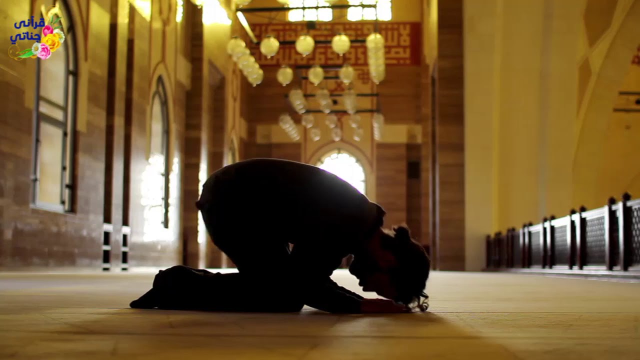 Мухаммад аль мадани. Мухаммад Мадани. Абу Мухаммад Мадани фото. Голубь молится в мечети. Молитва в мечети.