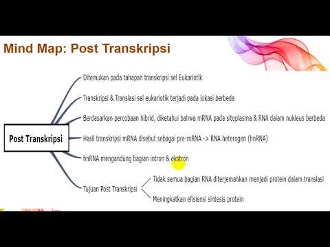 Video: Kompleksitas Luar Biasa Dari Penyambungan RNA