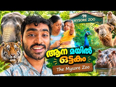 A day at Mysore