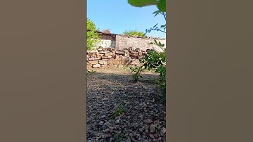 Reall Camera HD📸 1+ || #viral #viralvideo #camera #1+ #oneplus7t #short #shorts #video