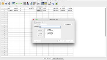 Creando matriz de datos SPSS