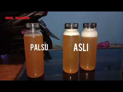 Video: Kapan madu menjadi kasar?