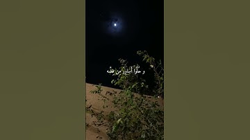 سورة الإنسان بصوت القارئ : محمد اللحيدان ...احبكم # حلوياتي # جَـميلـَة_يـوليـو ♥️