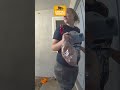 Birds on Camera | CCTV