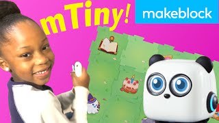 Introducing mTiny!  The Early Childhood Education Robot