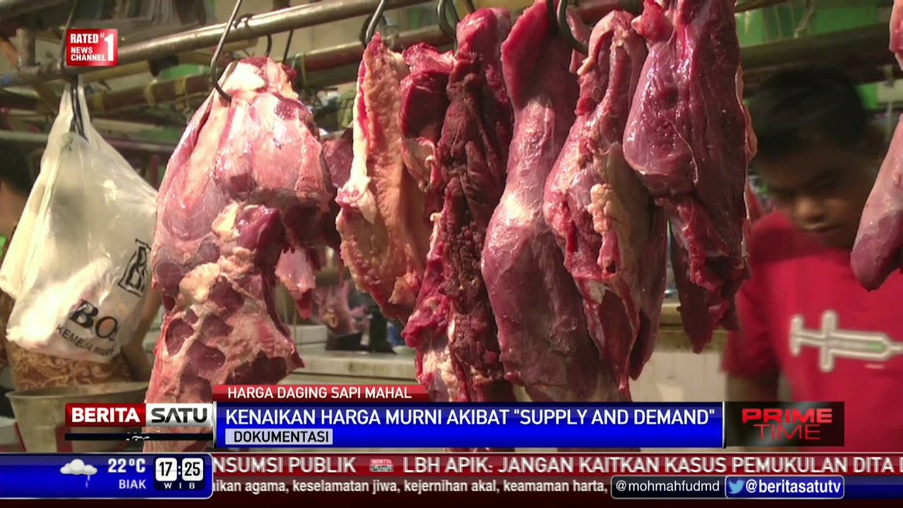  Harga  Daging Sapi di  Jakarta  Rp 140 Ribu YouTube