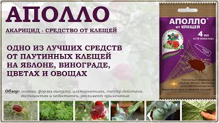 видео: Аполло - одно из лучших средств от паутинных клещей на яблоне, винограде, цветах и овощах. Обзор2025 картинка: Аполло - одно из лучших средств от паутинных клещей на яблоне, винограде, цветах и овощах. Обзор2025