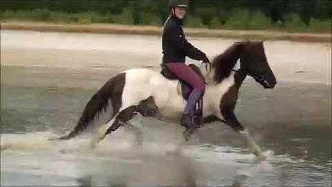 Op avontuur met Ránar!