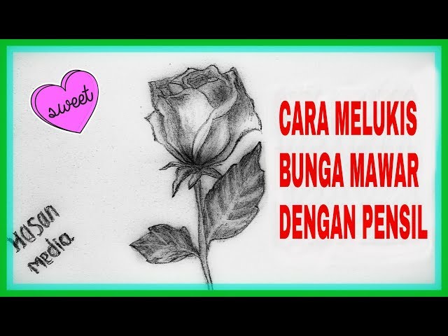 Fantastis 23 Gambar Bunga Mawar Pensil Richa Gambar