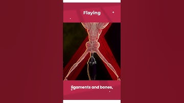 Flaying: Unveiling the Gruesome Practice of Skin Removal #Shorts #Flaying #DarkHistory