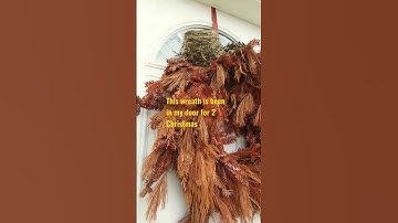 An American Robin build another nest next to the old one.#birdsnest;#doordecor