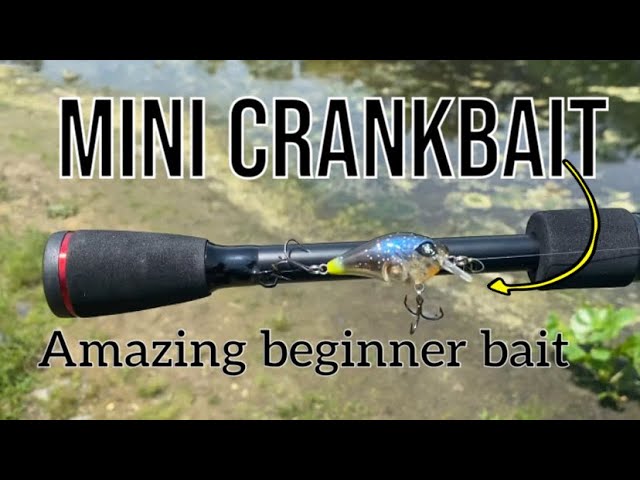 Googan Mini banger awesome beginner bait catches anything that swims 