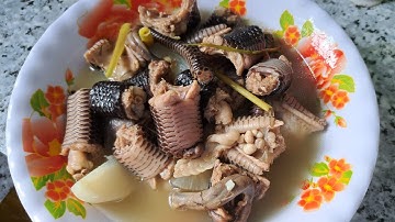 Rắn hổ hành hầm sả //BA HÍ TV