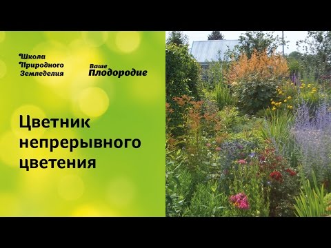 Цветник непрерывного цветения. Легко и просто