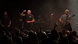 Cock Sparrer  "We're Coming Back"  @  O2 Forum  London 2018