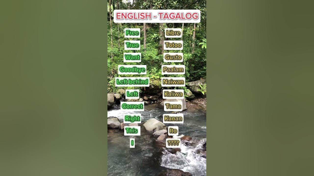298 English Tagalog Translation reels shorts short video 