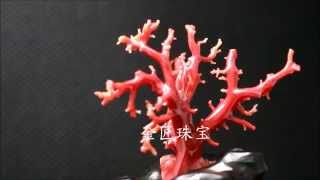 RC5401 20141201 HD