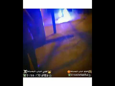 حالت وتس اغنيه حربوني بحكومه غناء احمد موزه مصممين   ومسعدت التوتو خراب مصر