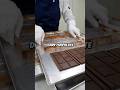 Joe Rogan Reacts to The Dark Chocolate Warning
