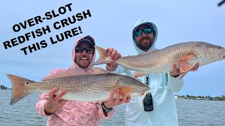Redfish Crush THIS NEW TWEAKER LURE!!! by Salt Strong 2,799 views 1 month ago 5 minutes, 58 seconds