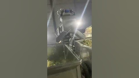 large garlic color sorting machine/jasmine@ajlong.cn