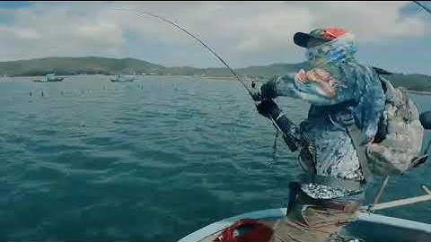 Cách câu lure cá mú , ở địa hình khó nhiều cây chà...