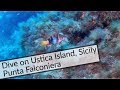 Scuba Diving : Ustica, Sicily, Italy - Punta Falconiera