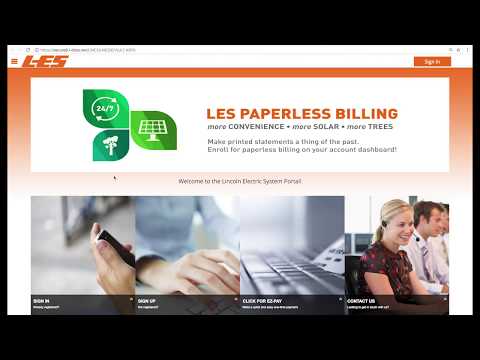 Using the LES online payment portal