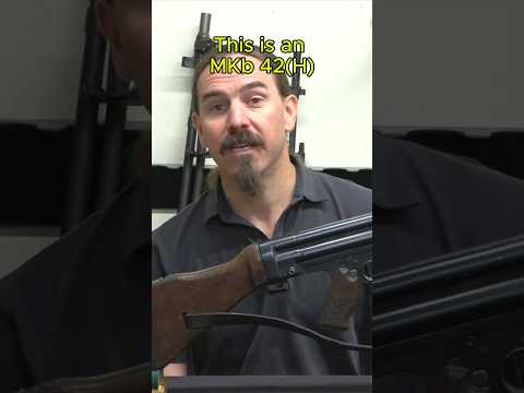 The First Sturmgewehr: The MKb42(H)