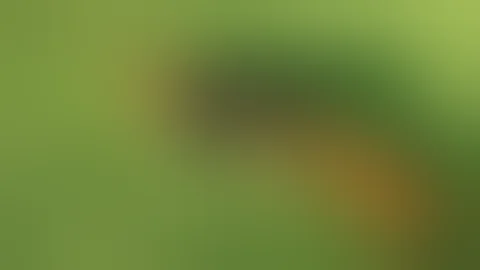 Auto-Ordnance Thompson 1927A 1