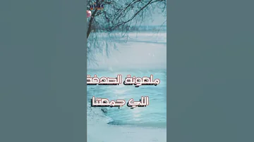 قصيدة ملعونة من ديوان خيوط العنكبوت مروان غريب 