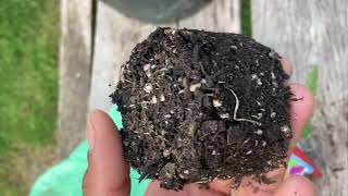 Uk garden autos ep2