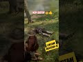 Bora pegar uma grana fácil kkk
