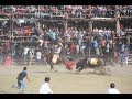 Toros Sangolqui 2018 | Ganaderia Sr. Victor Elejalde