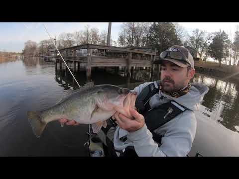 Early Spring Bass Fishing with a Lucky Craft 78 Pointer SP