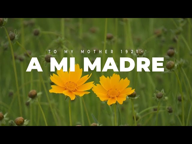 A MI MADRE