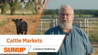 Cattle Markets React To Mexico Border News Livestock Marketing