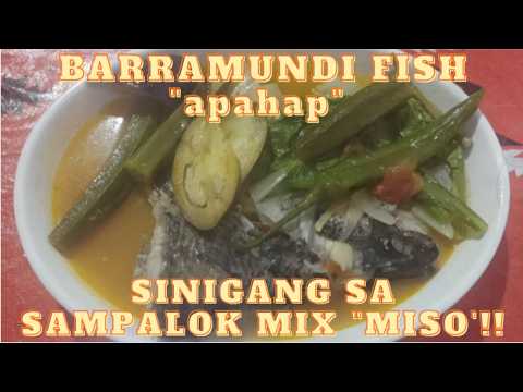 BARRAMUNDI "apahap" FISH SINIGANG SA MISO by MANNIE'S VERSION.