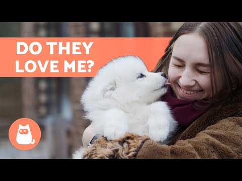 Am I My DOG'S FAVORITE PERSON? 🐶❤️👱🏻‍♀️ (6 Ways to Tell)