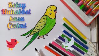 Muhabbet kuşu nasıl çizilir 🕊️ Kolay kuş çizimi 🐦 How to draw a bird 🦜#Easydrawings #Kolayçizimler